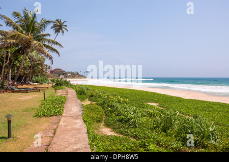 Tropischer Strand im südlichen Teil von Sri Lanka Stockfoto