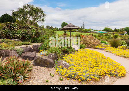 Die afrikanischen Garten in Auckland Botanic Gardens, New Zealand. Stockfoto