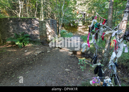 Str. Marys gut in Culloden Woods in Inverness-Shire, Schottland. Stockfoto