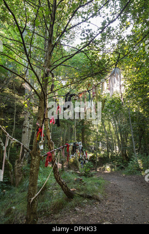 Str. Marys gut in Culloden Woods in Inverness-Shire, Schottland. Stockfoto