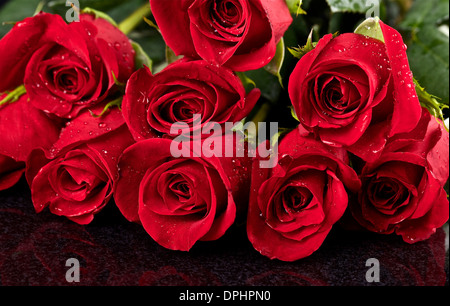 Rote Rosen auf schwarzem Hintergrund Keramik Stockfoto