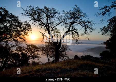 Morgendämmerung in Mendocino County Stockfoto