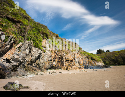 Kleine Felsen Ordovizium mariner Sedimente Stradbally Cove, in der Copper Coast Geopark, Grafschaft Waterford, Irland Stockfoto