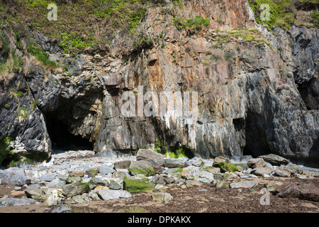 Kleine Felsen Ordovizium mariner Sedimente Stradbally Cove, in der Copper Coast Geopark, Grafschaft Waterford, Irland Stockfoto