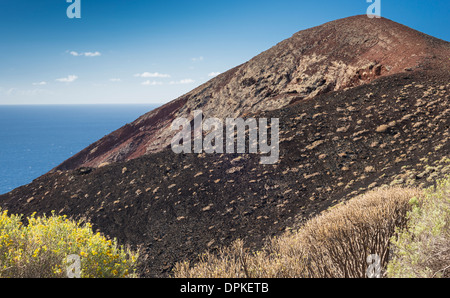 Blühender salado und Tabaiba vor dem Vulkan Viento im Südosten von La Palma, Kanarische Inseln Stockfoto