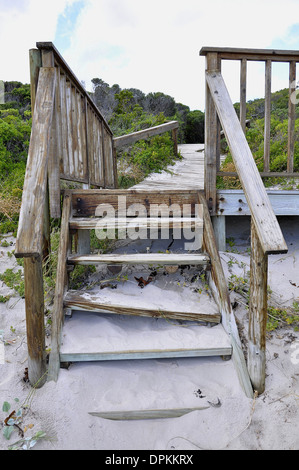 Treppe zum Strand mit weißem Sand und grüne Büsche (Bettys Bay, Western Cape, Südafrika) Stockfoto