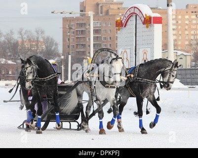 Eine drei-Horse-drawn Troika im Winter, Russland, Moskau Hippodrom Stockfoto