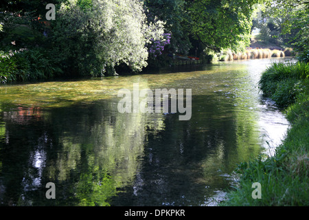 Dieser Fluss ist benannt nach dem schottischen Avon und läuft durch das Zentrum von Christchurch. Ein Großteil des Ufers ist jetzt Parklandschaft Stockfoto