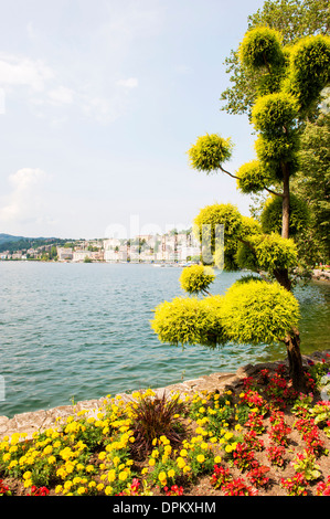 Gardens on Lake Lugano, Switzerland Stockfoto