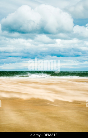 Windiger Tag am Sandstrand zwischen Bamburgh und gemeinsame, Northumberland, UK Stockfoto