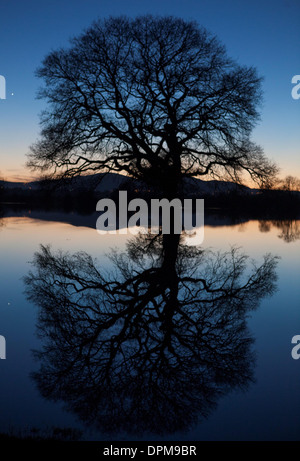 Die Sonne geht hinter den Malvern Hills in Worcester, spiegelt sich in überfluteten Ackerland Stockfoto