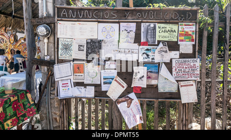 Ankündigungen auf öffentlichen schwarzen Brett in Zipolite geben eine Vorstellung von Weihnachtsaktivitäten in Stadt & benachbarten San Agustinillo Stockfoto