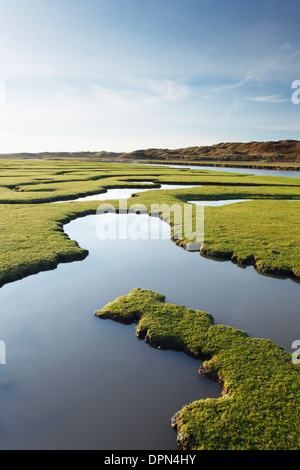 Salz-Sumpf auf der Mündung des Flusses Ogmore. Vale von Glamorgan. Wales. VEREINIGTES KÖNIGREICH. Stockfoto