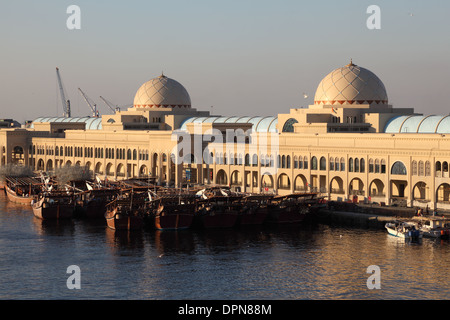 Neuer Fischmarkt in Sharjah Stadt. Vereinigte Arabische Emirate Stockfoto