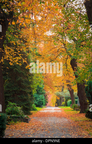 Gasse mit verschiedenen Bäumen in herbstlichen Farben. Stockfoto