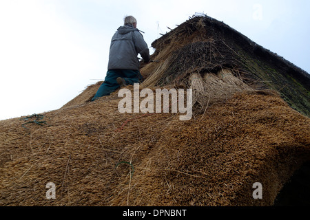 Vereinigtes Königreich West Sussex ein Thatcher arbeiten auf dem Dach einer Hütte Stockfoto