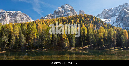 Die Cadini di Misurina und Le Cianpedele mit herbstlichen Lärchen, über Lago di Antorno gesehen. Dolomiten, Nord-Italien. Stockfoto