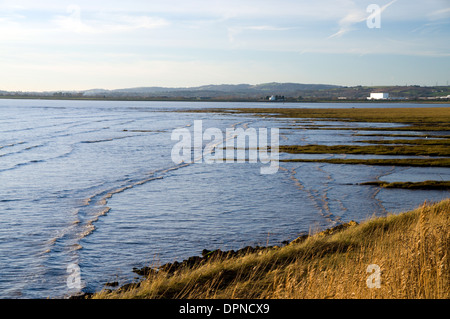 Newport Wetland Reserve, Gwent Ebenen, Newport, South Wales. Stockfoto