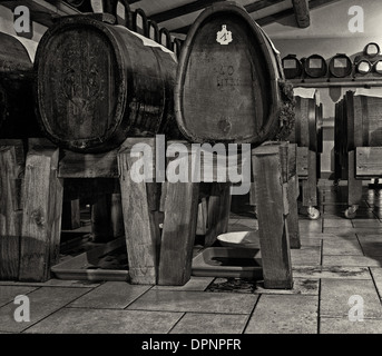 Balsamico-Essig (Aceto Balsamico) Produktion in der Nähe von Spilamberto, Provinz Modena, Emilia-Romagna Stockfoto