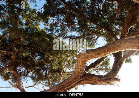 Koufonissia, Koufunissi, Koufonissia, Kykladen, Griechenland Stockfoto