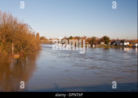 Einen gefluteten Themse von Chertsey Bridge Chertsey Surrey England UK gesehen Stockfoto