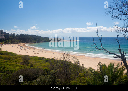 Süßwasserstrand bei Surfern im Ozean nördlichen Strände Warringah Sydney New South Wales Australien Stockfoto