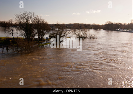 Einen überfluteten Fluss Themse und Wiesen als von Chertsey Bridge Chertsey Surrey England UK gesehen Stockfoto