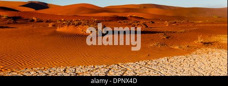 Seltsames Muster auf dem Wüstenboden wackelnder, vom Wind verwehter Sand neben trockener, rissiger Schlammoberfläche mit Blick auf rote Sanddünen Stockfoto