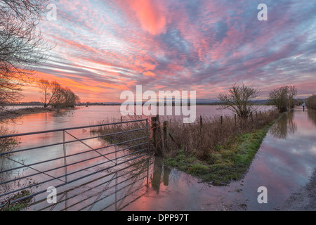 Sonnenaufgang über der überfluteten Somerset Ebene vor den Toren Glastonbury.  Das Stille Wasser spiegelt die Farben in den Himmel. Stockfoto