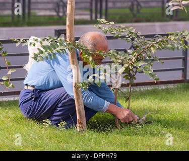 Peking, China. 16. Oktober 2006. Bei der Arbeit Pflanzen Gärtner einen Busch, in Peking, Hauptstadt der Republik China. © Arnold Drapkin/ZUMAPRESS.com/Alamy Live-Nachrichten Stockfoto