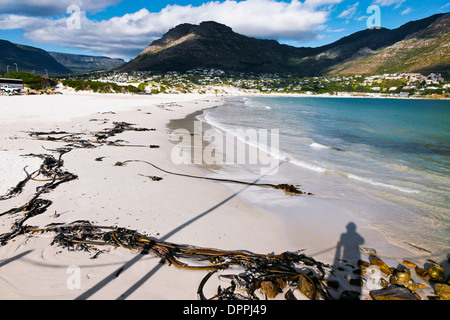 Hout Bay Beach in Kapstadt, Südafrika Stockfoto