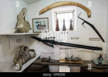 Ein Zimmer von verschiedenen historischen Artefakten, einschließlich eine Harpune und Wal-Knochen, im Zusammenhang mit der Antarktis Walfang-Industrie auf dem Display an der maritimen Museum Ushuaia. Das Museum besteht aus mehreren Flügeln maritime Geschichte, Antarktis Exploration, eine Kunstgalerie und eine Politik und Penitentiary Museum gewidmet. Der Komplex befindet sich in einem historischen Gefängnisgebäude und verwendet den ursprünglichen Zellen und Büros wie Leerzeichen aufweisen. Stockfoto