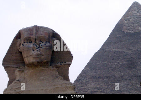 30. Dezember 2008 - Kairo, Ägypten - die große Sphinx von Gizeh, Ägypten. (Kredit-Bild: © Rafael Ben-Ari/Chamäleons Auge/ZUMA Press) Einschränkungen: Unbekanntes Datum! Stockfoto