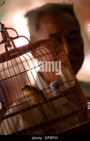 30. Dezember 2008 - Hong Kong, China - ein Mann zeigt seine Vogelkäfig in der Stadt von Hong Kong. (Kredit-Bild: © Rafael Ben-Ari/Chamäleons Auge/ZUMA Press) Einschränkungen: Unbekanntes Datum! Stockfoto