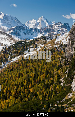 Blick vom Passo Val Parola, Süd-westlich in Richtung der Sella-Gruppe im Herbst, nach frühen Schnee; Dolomiten, Nord-Italien. Stockfoto