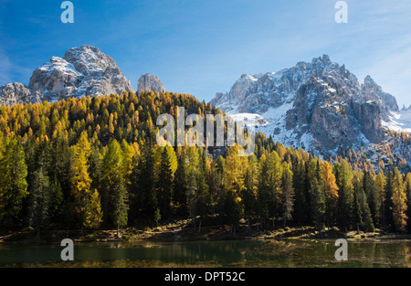 Die Cadini di Misurina und Le Cianpedele mit herbstlichen Lärchen, über Lago di Antorno gesehen. Dolomiten, Nord-Italien. Stockfoto