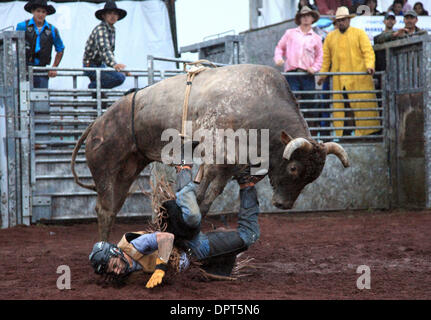 15. Februar 2009 konkurriert - Hilo, Hawaii, Vereinigte Staaten - A-Bull-Fahrer in der Bullenreiten Wettbewerb im Panaewa Stampede Rodeo im Panaewa Equestrian Center in Hilo, Hi. Teilnahme an Rodeos schon immer ein großer Teil der hawaiische Cowboy-Kultur diente, Cowboys zusammen außerhalb der Arbeit, Spaß und Anleihen haben zu bringen. "Es wurden japanische Cowboys, Phillipino Cowboys, Hawaii Stockfoto