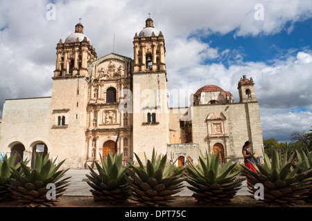 Agave in der Nähe der Kirche von St. Domingo. Oaxaca, Oaxaca. Mexiko Stockfoto