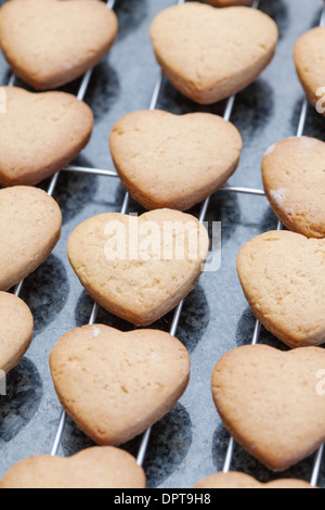 Frisch gebackene Cookies Abkühlung an Metallgitter in Herzform Stockfoto