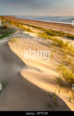 Coatham Strand Sand Dünen, Redcar, Cleveland, England Stockfoto