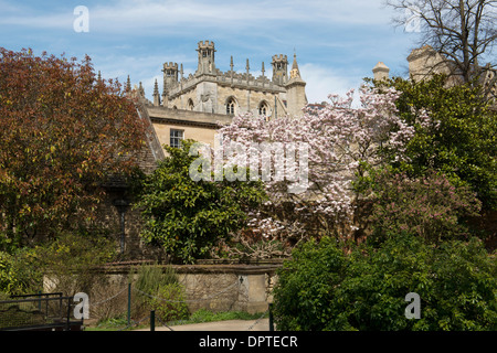 Christ Church Meadow Hall Gebäude und Kathedrale Stockfoto