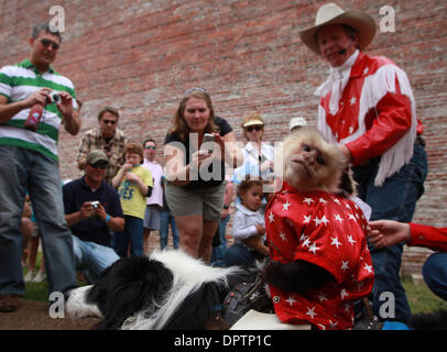 18. April 2009 zeigen - Clarksdale, Mississippi, USA - Affen Reiten Hunde in Clarksdale, wo der 6. jährlichen Juke Joint Festival stattfindet, präsentiert Mississippi Delta Blues Musik, sowie eine Auswahl an Publikum erfreulich einschließlich Tim Lepard Rodeo Spezialität wirkt, mit den Affen. Die historische Stadt an den Ufern des Flusses Sonnenblume einmal als Baumwolle und Eisenbahn Drehscheibe wo Blues-Künstler Stockfoto