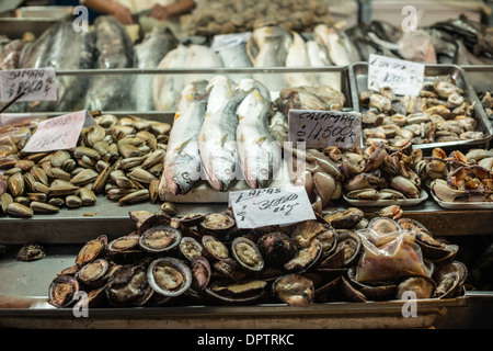 SANTIAGO, Chile – frischer Fisch und Muscheln werden an Verkaufsständen im historischen Mercado Central verkauft. Der Markt aus dem 19. Jahrhundert ist Santiago's wichtigstes Zentrum für Meeresfrüchte und bietet eine große Auswahl an Fängen von Chiles Pazifikküste. Die traditionellen Darstellungsmethoden des Marktes zeigen die Vielfalt chilenischer Meeresfrüchte, die täglich verfügbar sind. Stockfoto