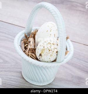 Drei natürliche blau gefärbte Ostereier in einem Korb mit einer einzigen Vogel-Feder für eine rustikale saisonale Feier symbolisch für die Auferstehung Christi Stockfoto