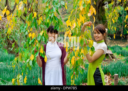 Zwei Frauen hinter den Zweigen lächeln an der Kamera. Stockfoto