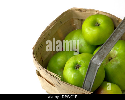 Bramley-Äpfel in eine trug Stockfoto