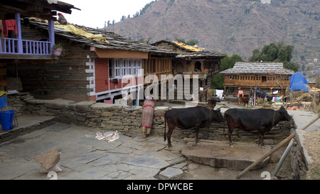 Typische hölzerne Häuser, Berg Dorf, Rumsu, nr Naggar, Kullu-Tal, Himachal Pradesh, Nordindien. Stockfoto