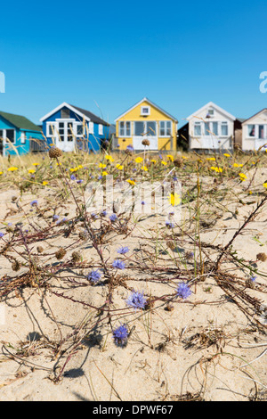 Strandhütten an Hengistbury Head, Dorset, UK. Stockfoto