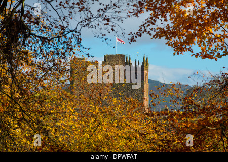 Herbstfärbung umgeben Ludlow Castle und St. Laurence Church in Shropshire, wie aus Whitcliffe gemeinsamen gesehen. Stockfoto