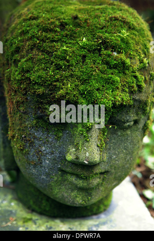 Eine dekorative Stein Kopf des Buddha bedeckt in Moos Stockfoto